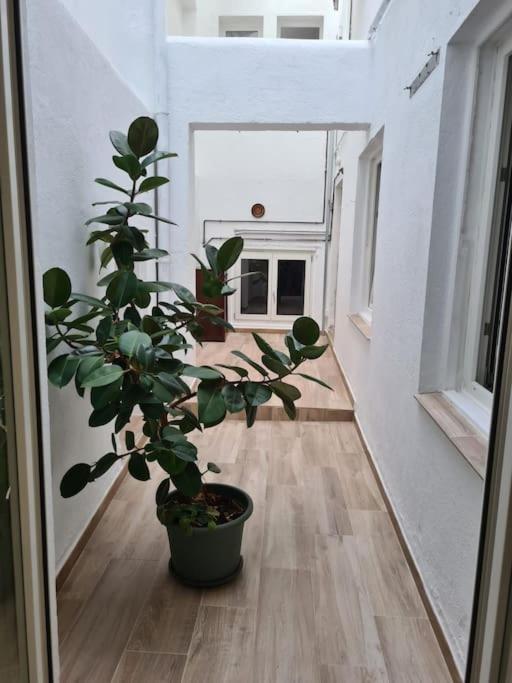 Apartamento Centrico Pontevedra Daire Dış mekan fotoğraf